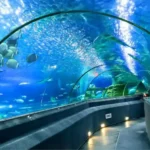 Viện hải dương học