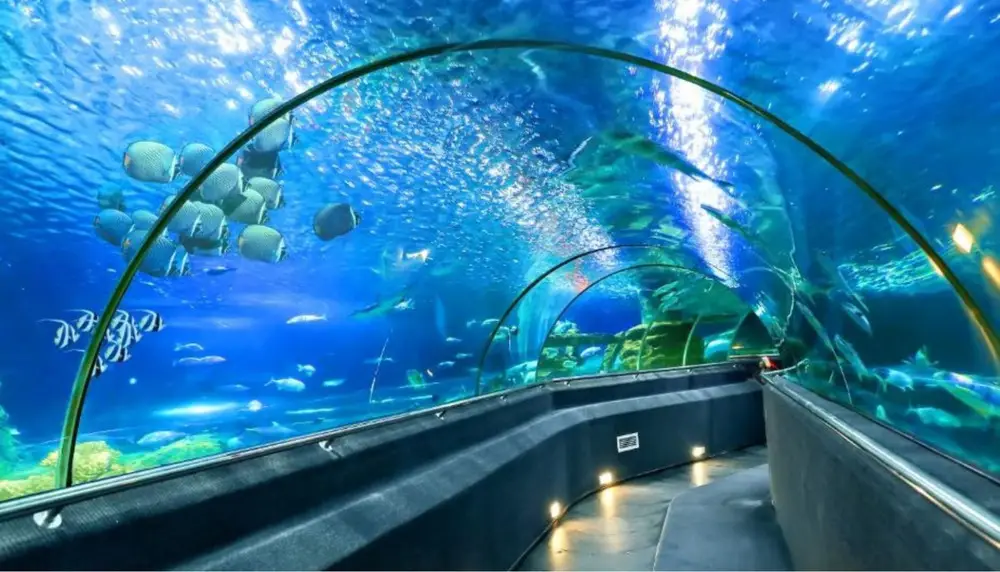 Viện hải dương học